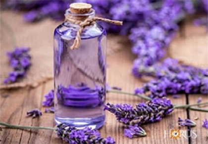 Os Benefícios Calmantes da Lavanda